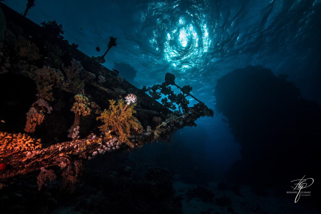 RED SEA