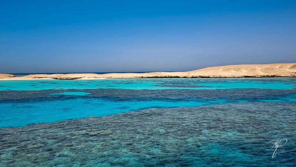 RED SEA