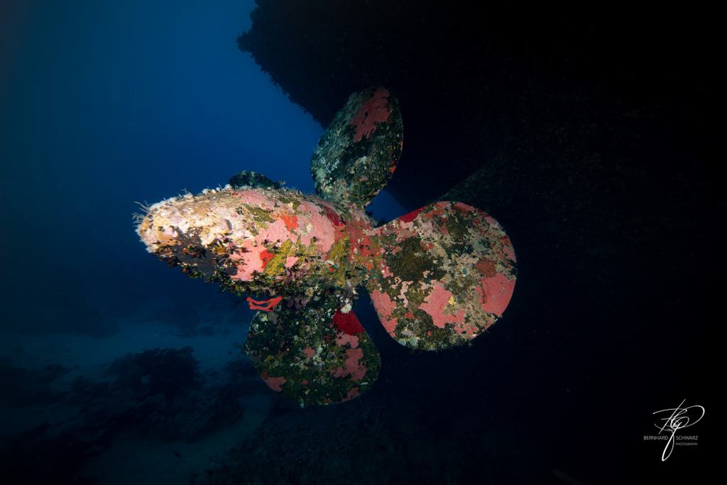 RED SEA