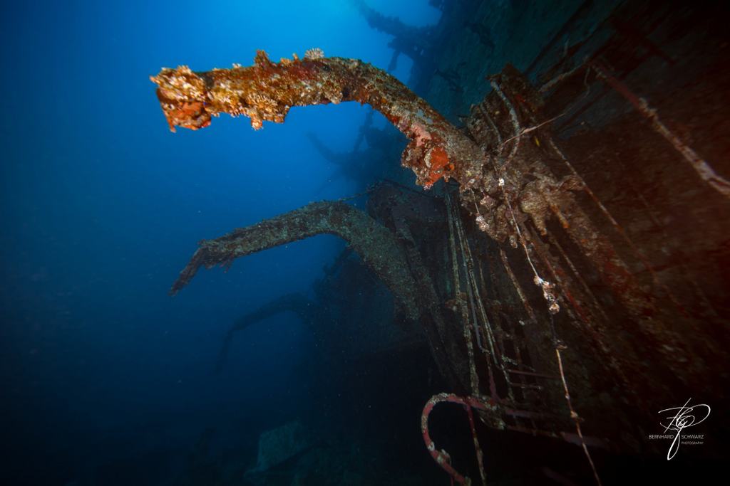 RED SEA