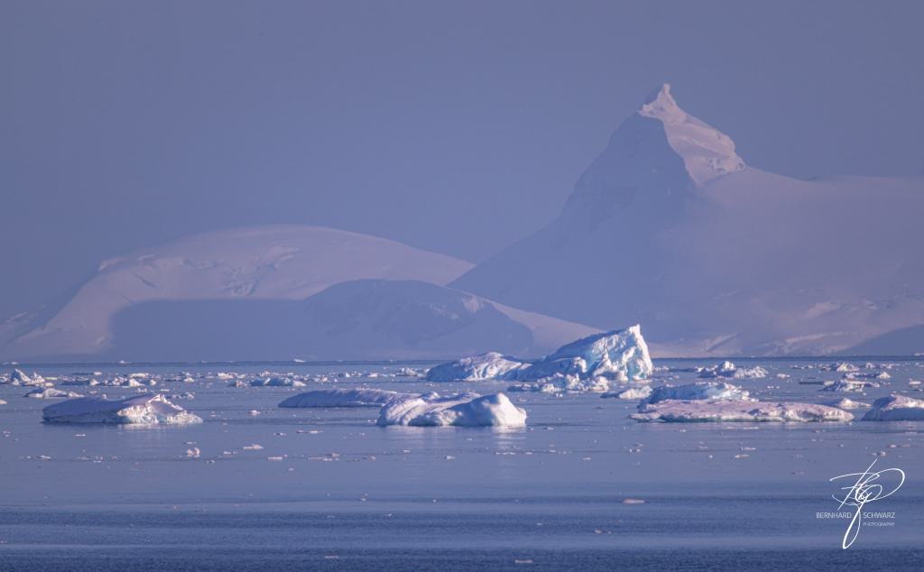 Antarctic