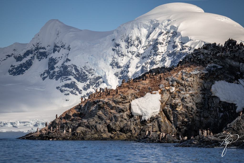 Antarctic