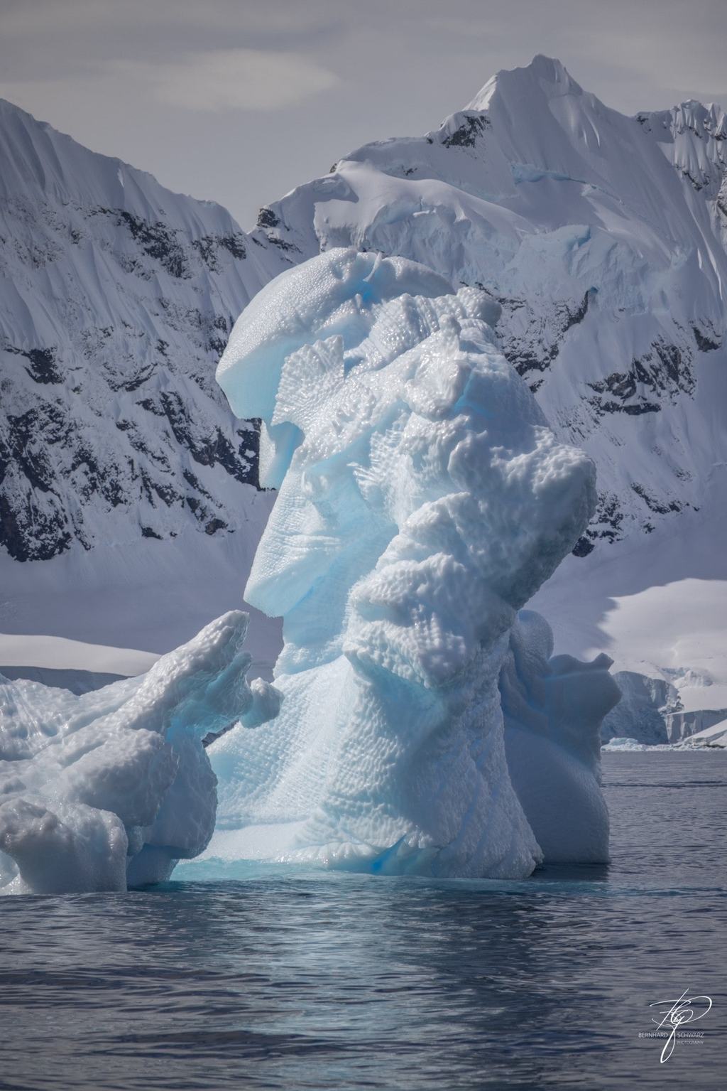 Antarctic