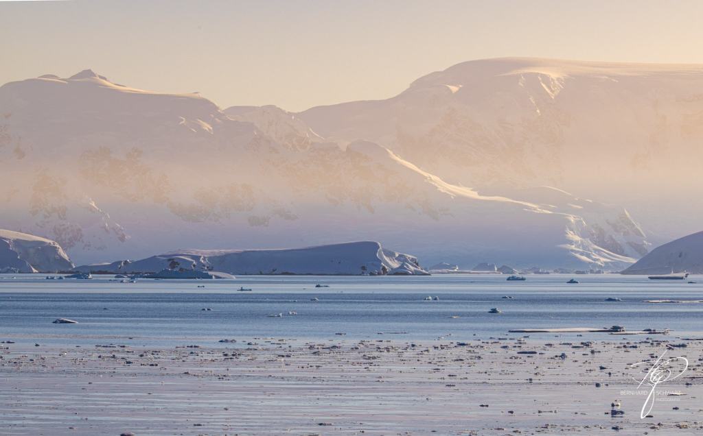 Antarctic