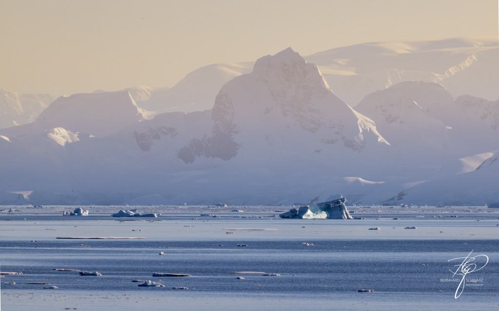 Antarctic