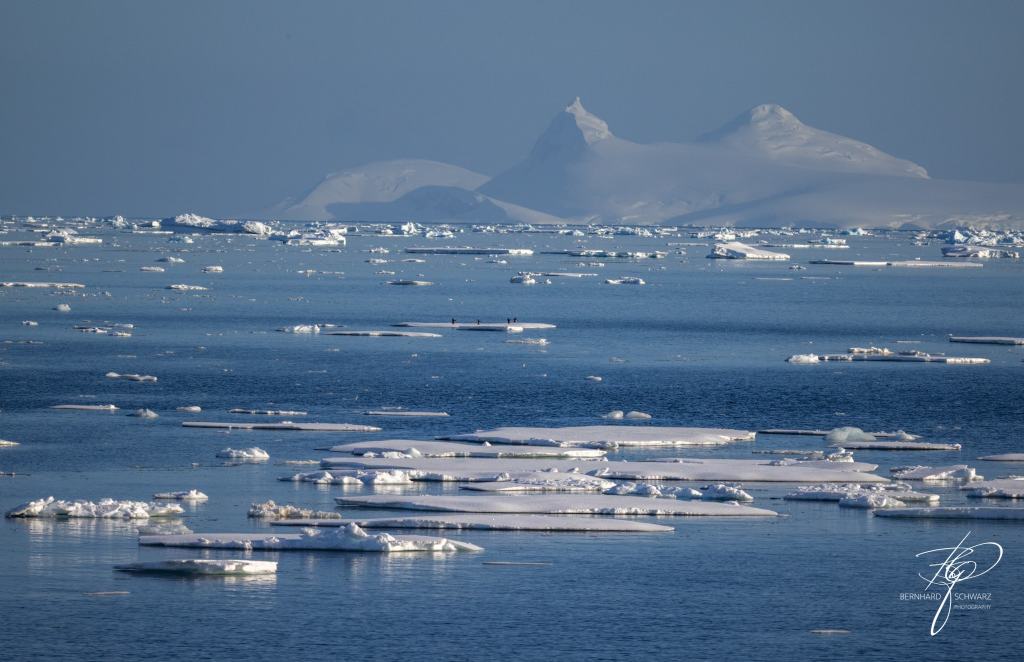 Antarctic