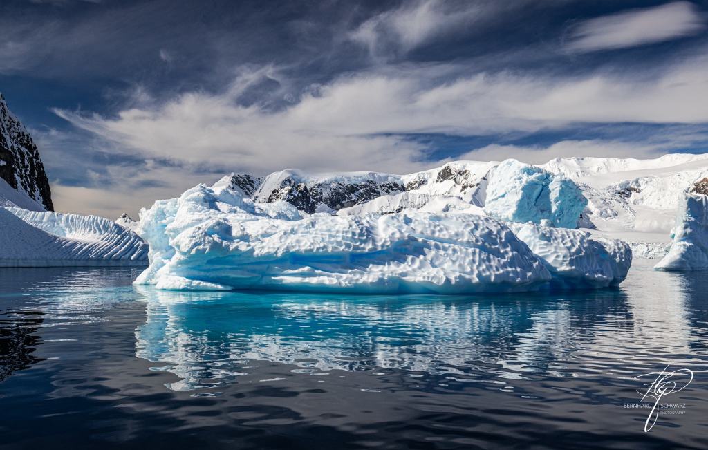 Antarctic