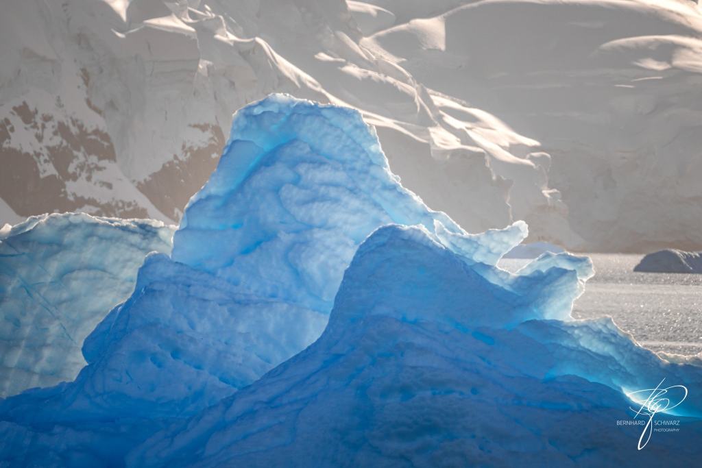 Antarctic