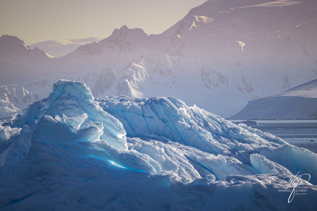 Antarctic