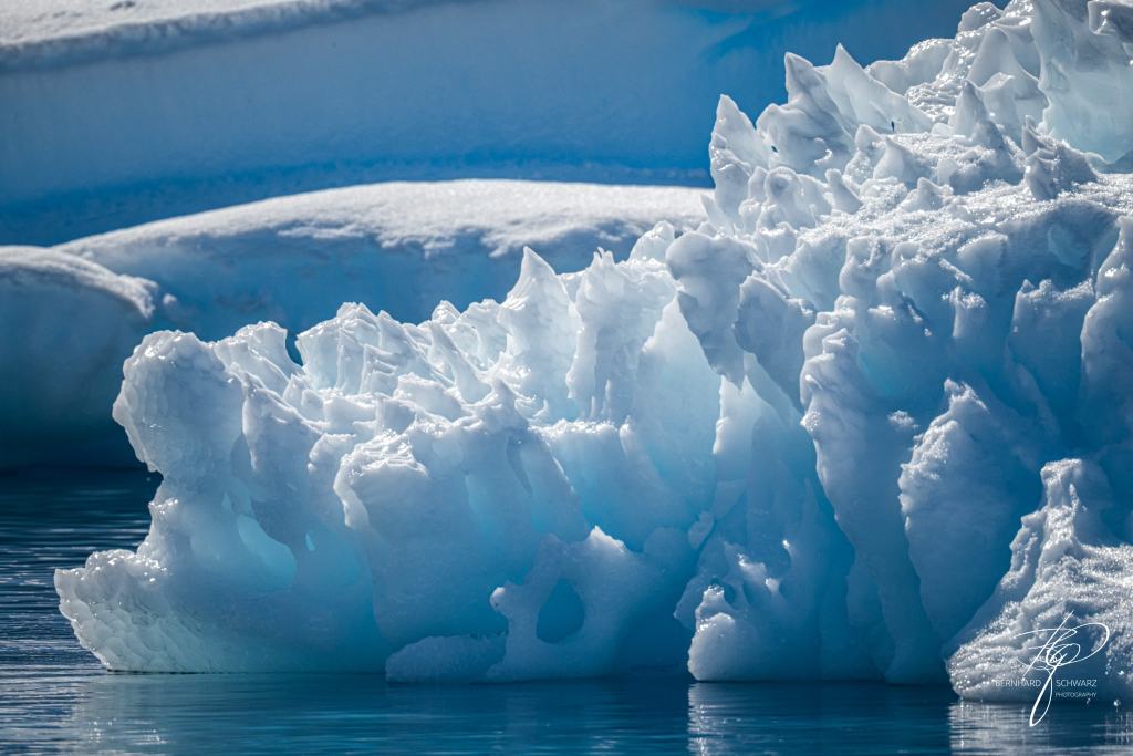 Antarctic