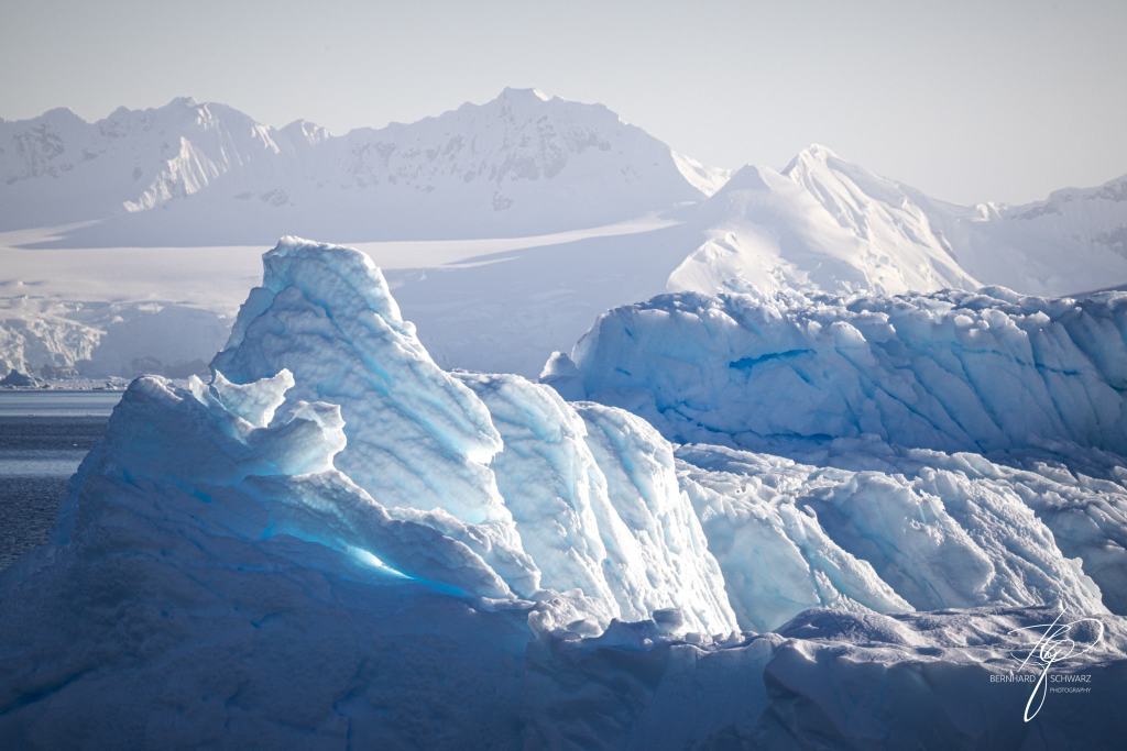 Antarctic