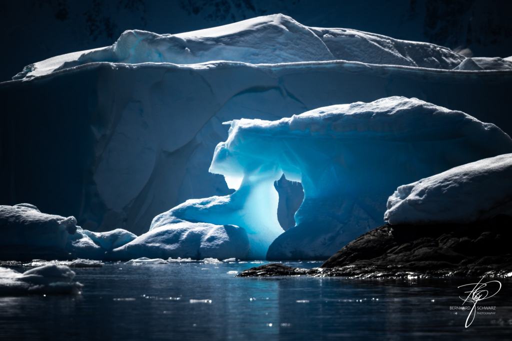 Antarctic