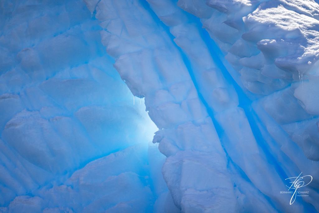 Antarctic