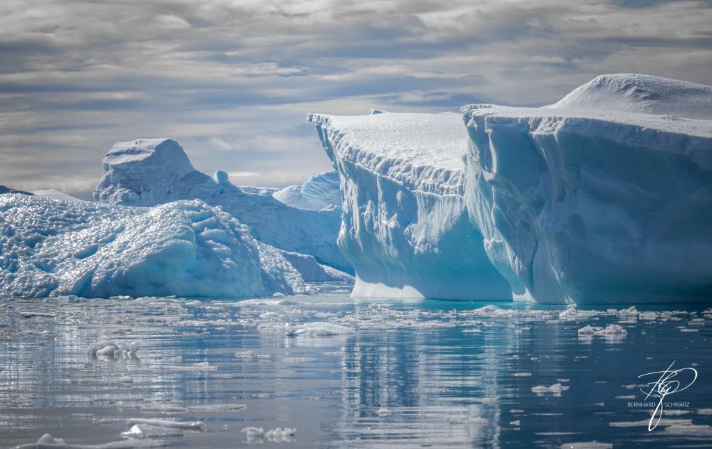 Antarctic