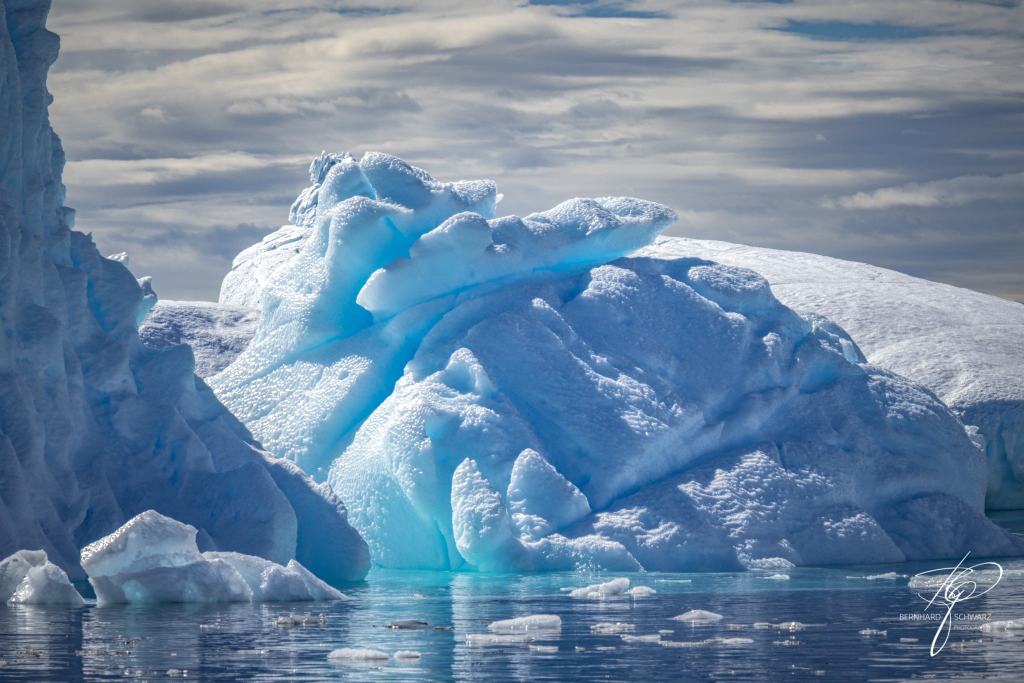 Antarctic