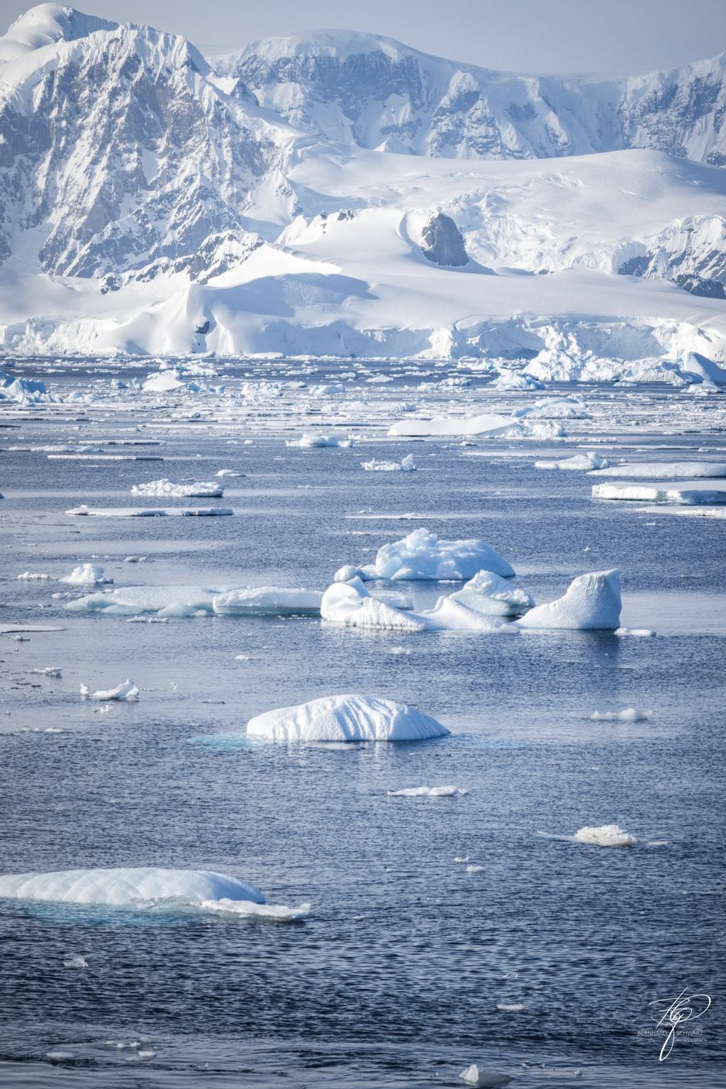 Antarctic