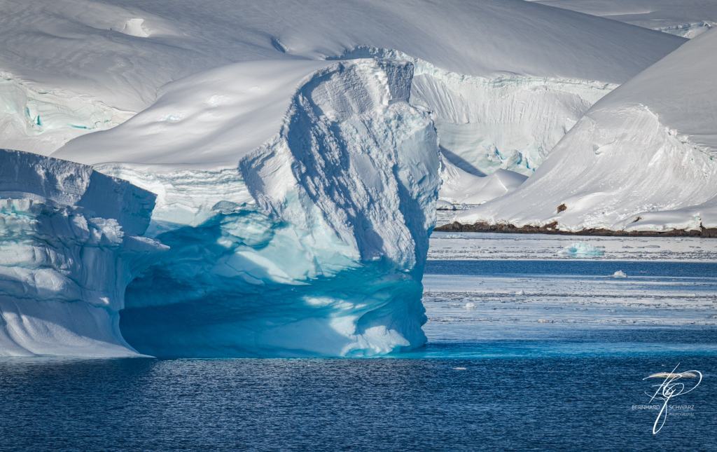 Antarctic