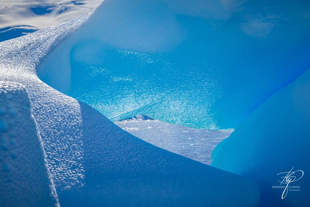 Antarctic