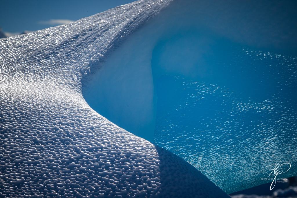 Antarctic