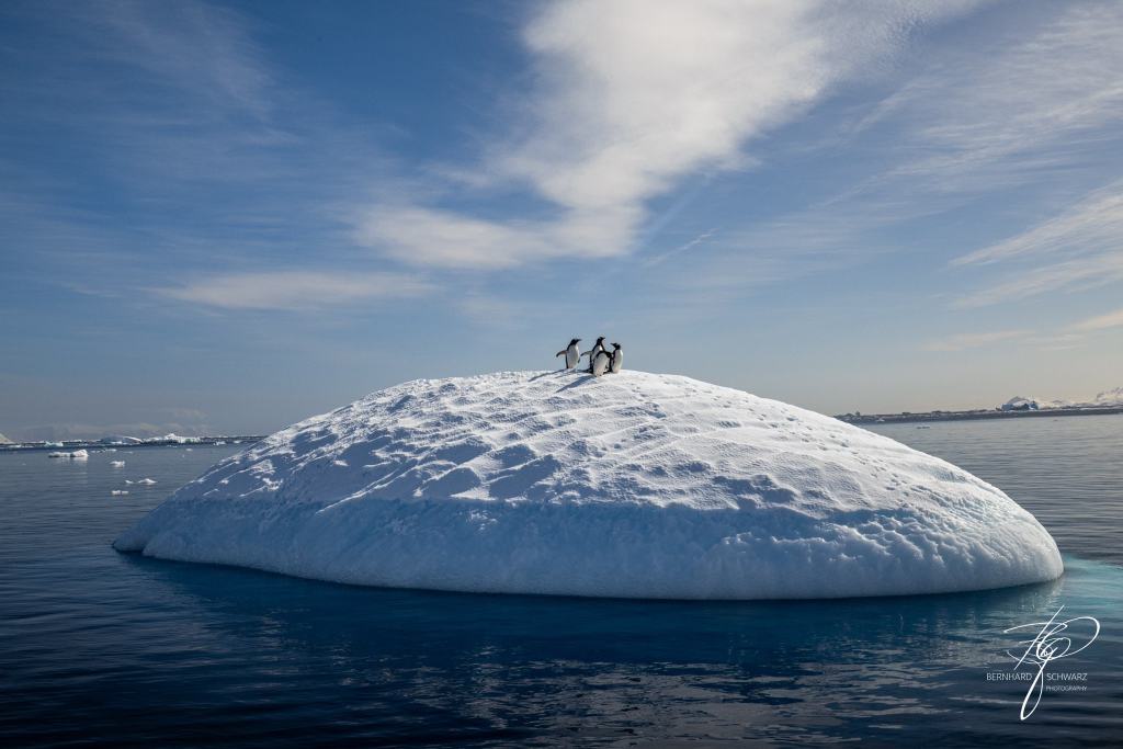 Antarctic