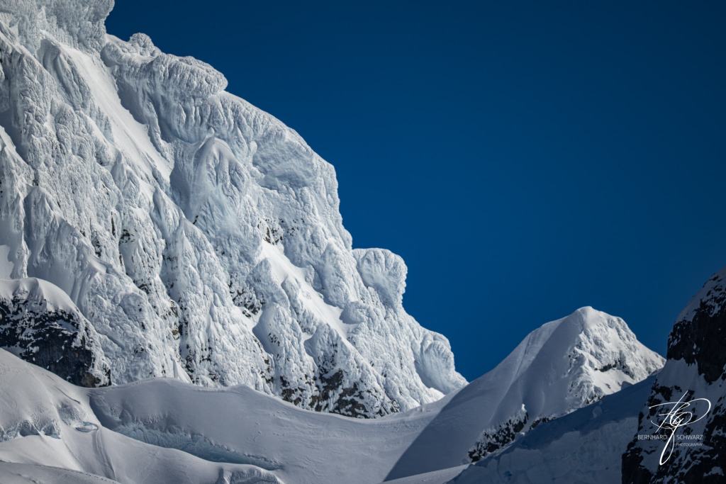 Antarctic