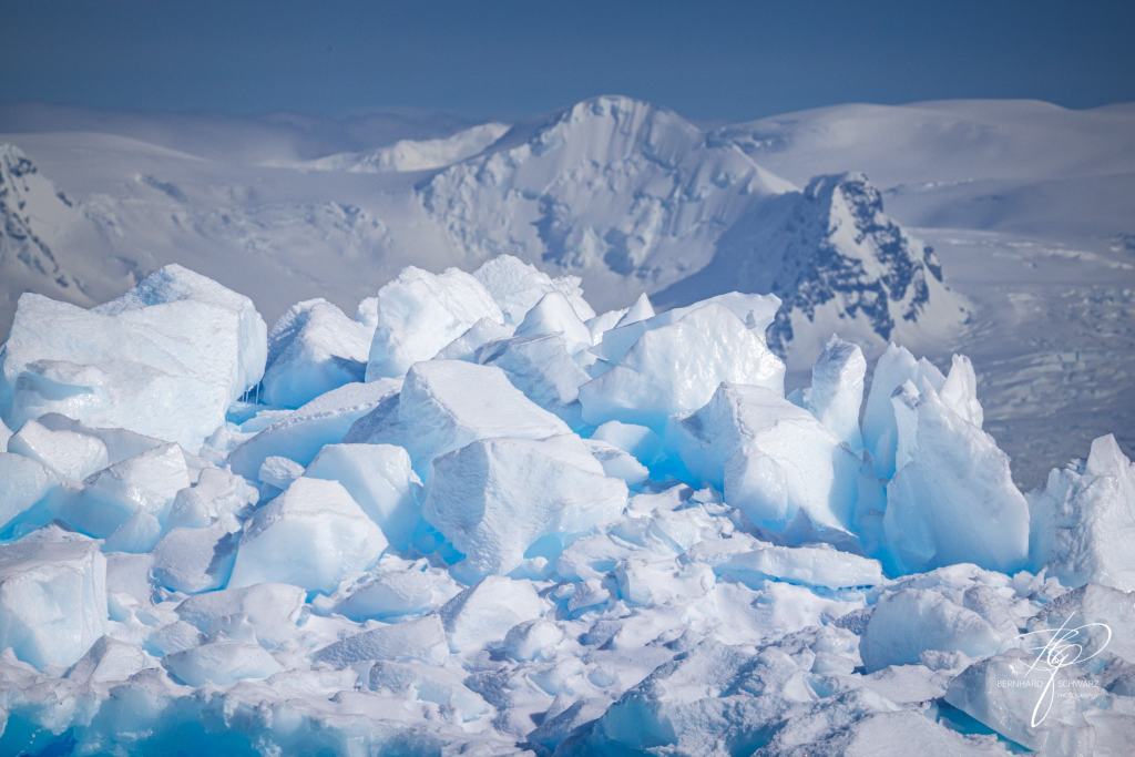 Antarctic