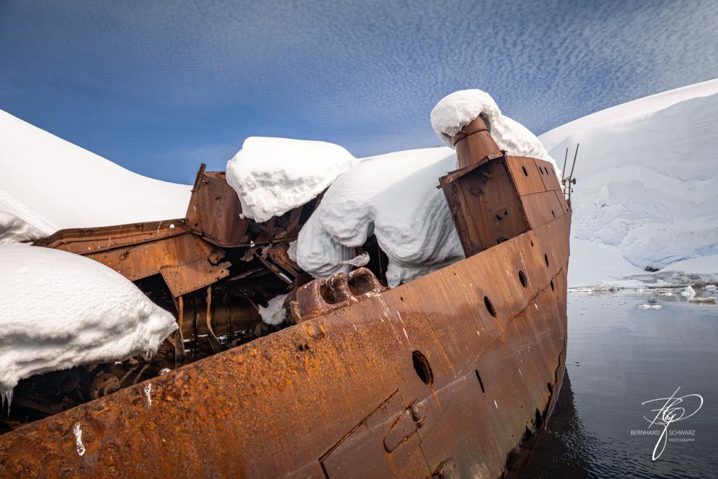 Antarctic
