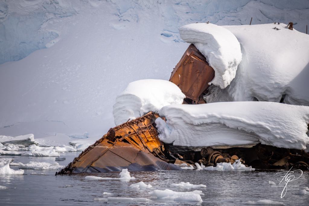 Antarctic