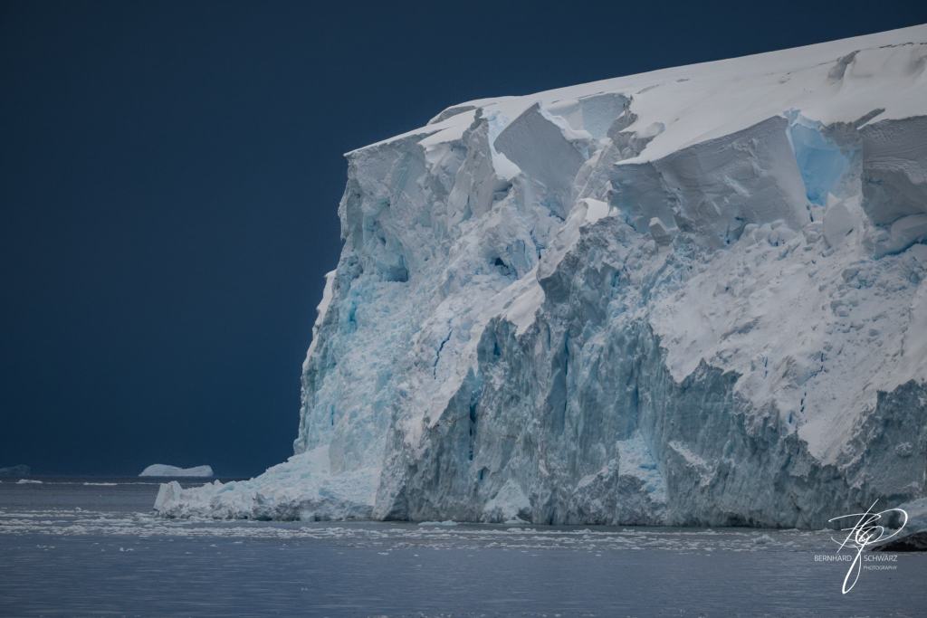 Antarctic