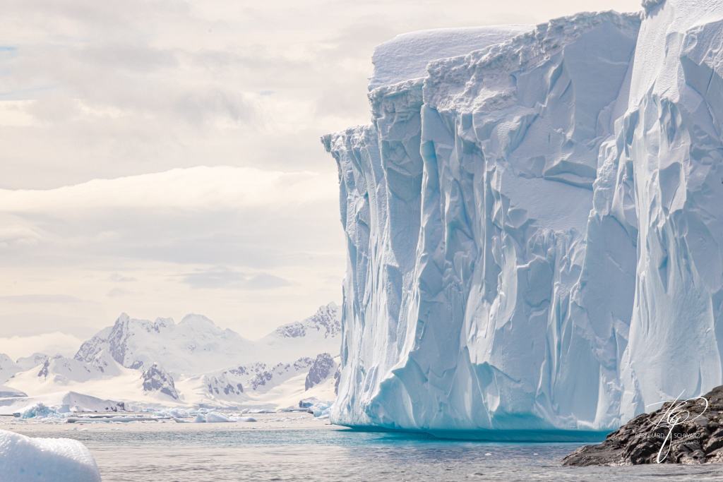 Antarctic