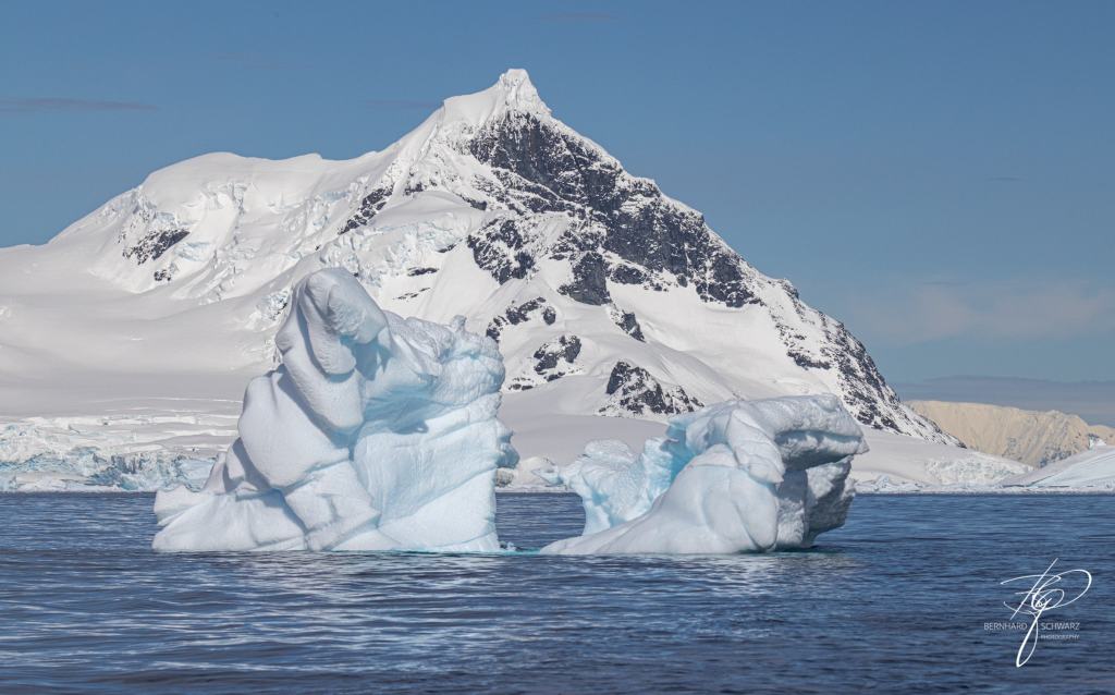 Antarctic