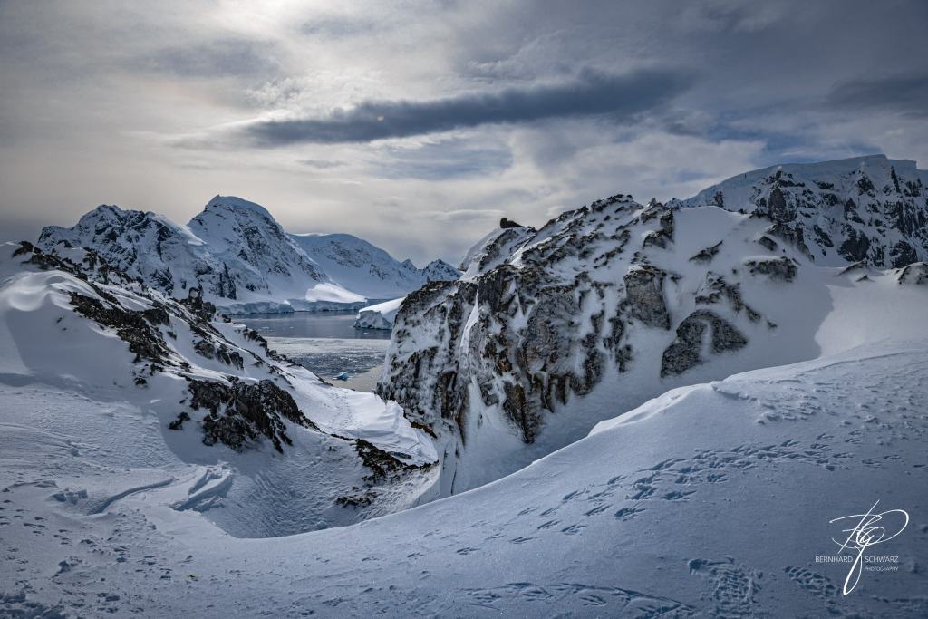 Antarctic
