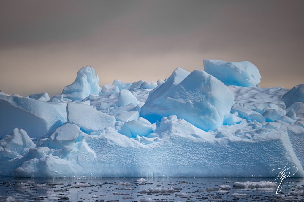 Antarctic