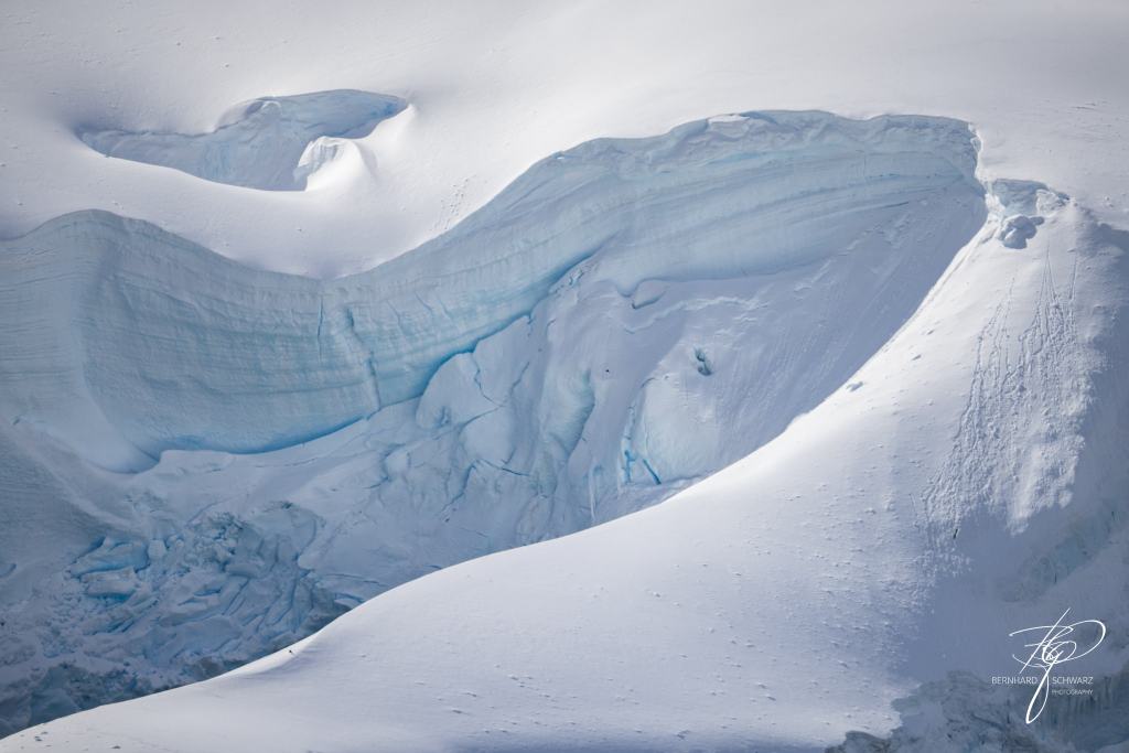 Antarctic