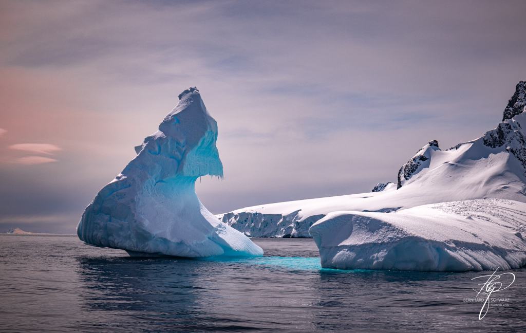 Antarctic