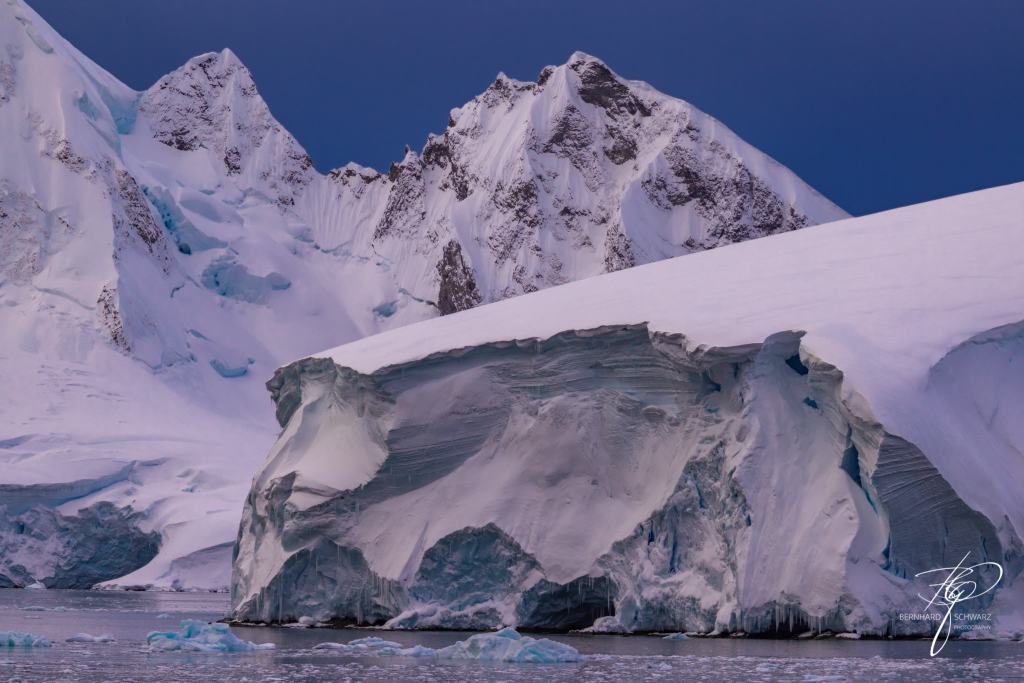 Antarctic
