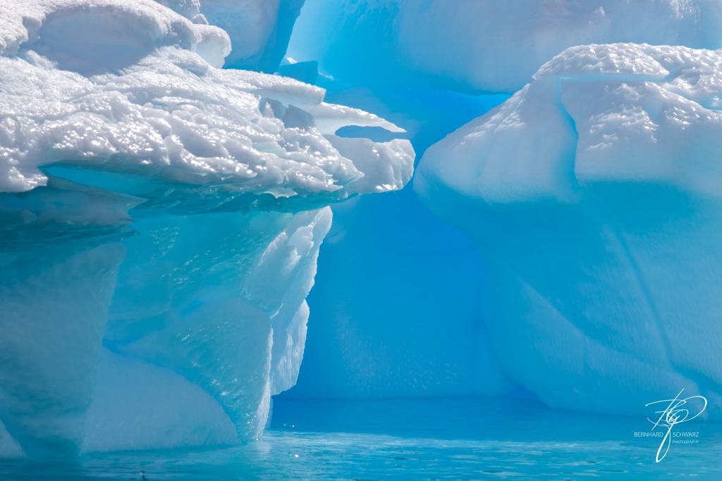 Antarctic