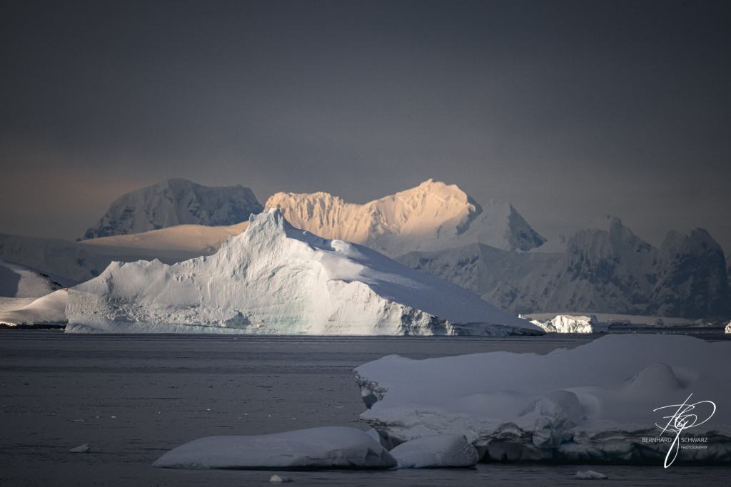 Antarctic