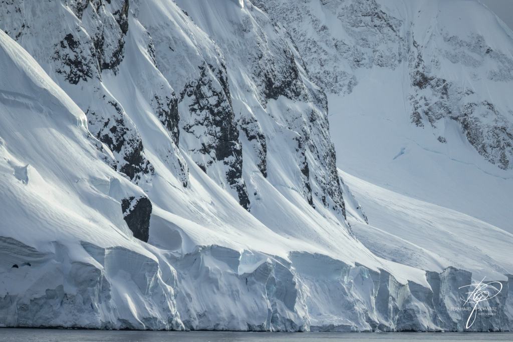 Antarctic