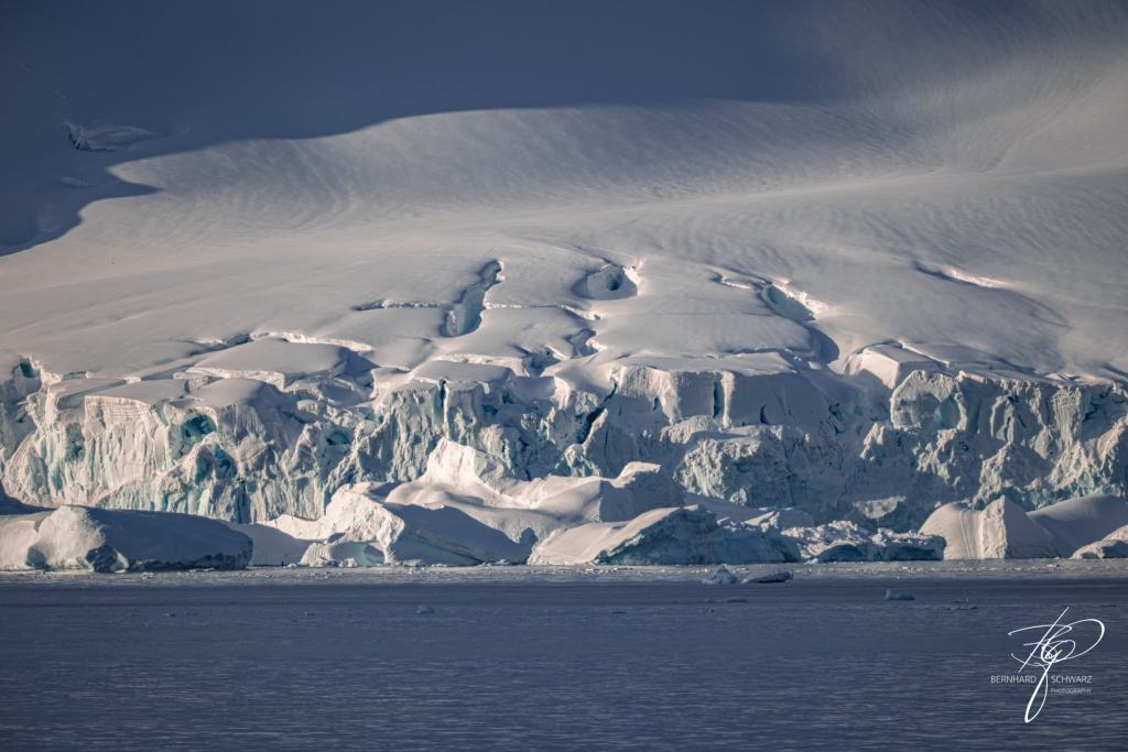 Antarctic