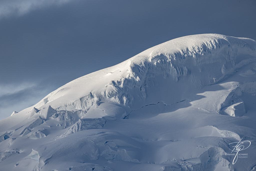 Antarctic