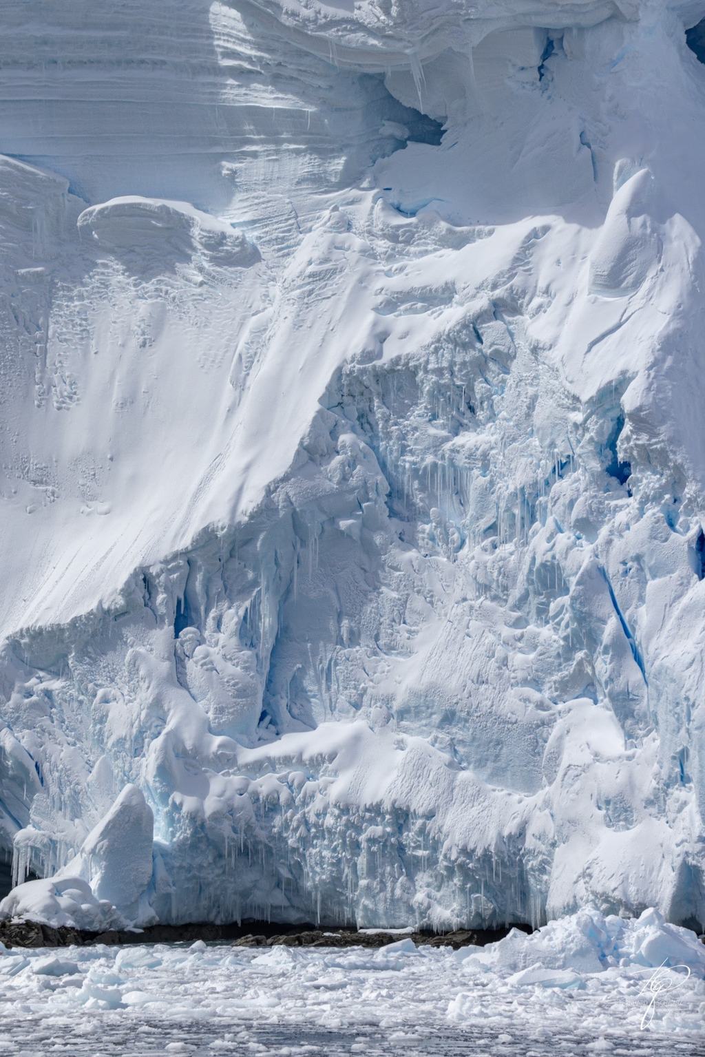 Antarctic