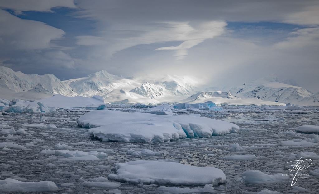 Antarctic