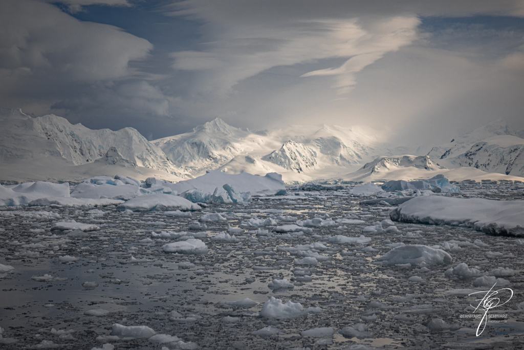 Antarctic
