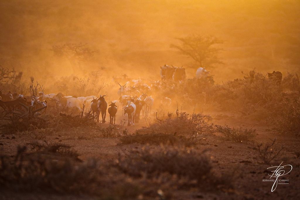 SURI - SURMA - ETHIOPIA