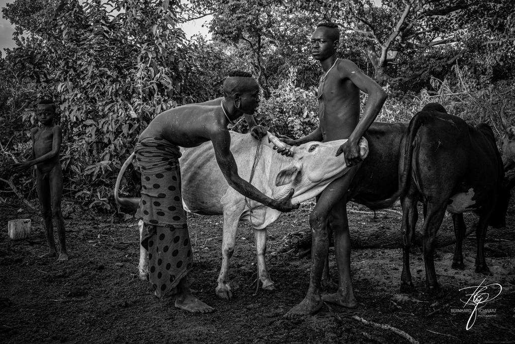 SURI - SURMA - ETHIOPIA