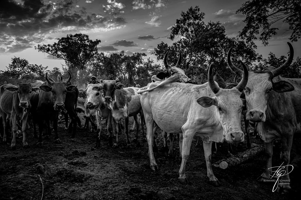 SURI - SURMA - ETHIOPIA