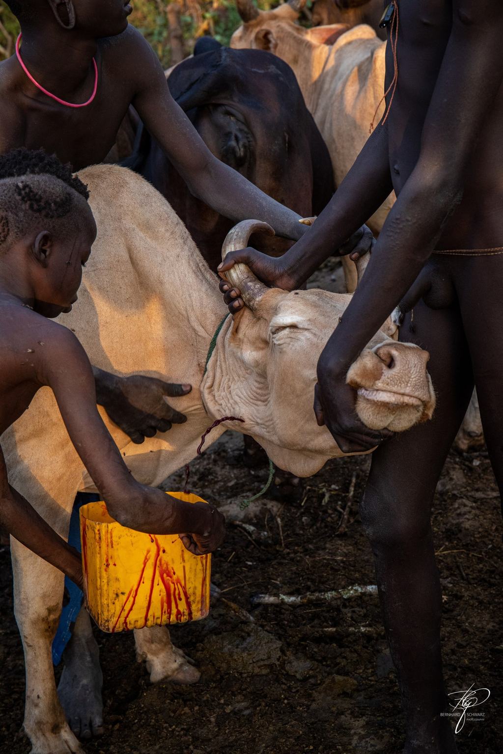 SURI - SURMA - ETHIOPIA