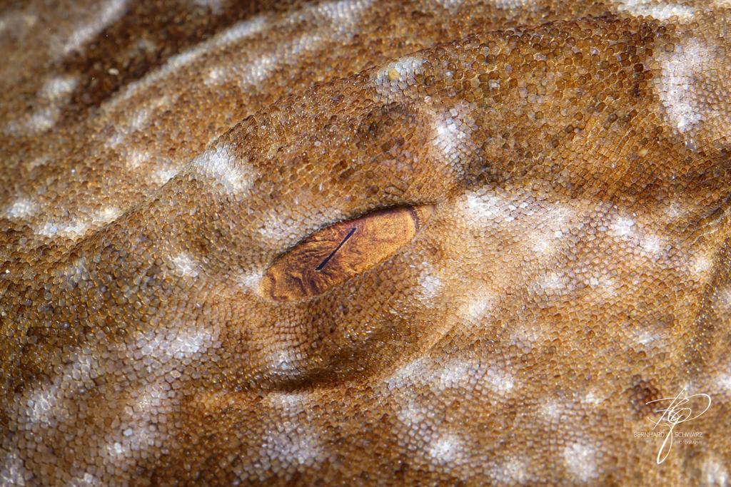 Fish Cave Rock