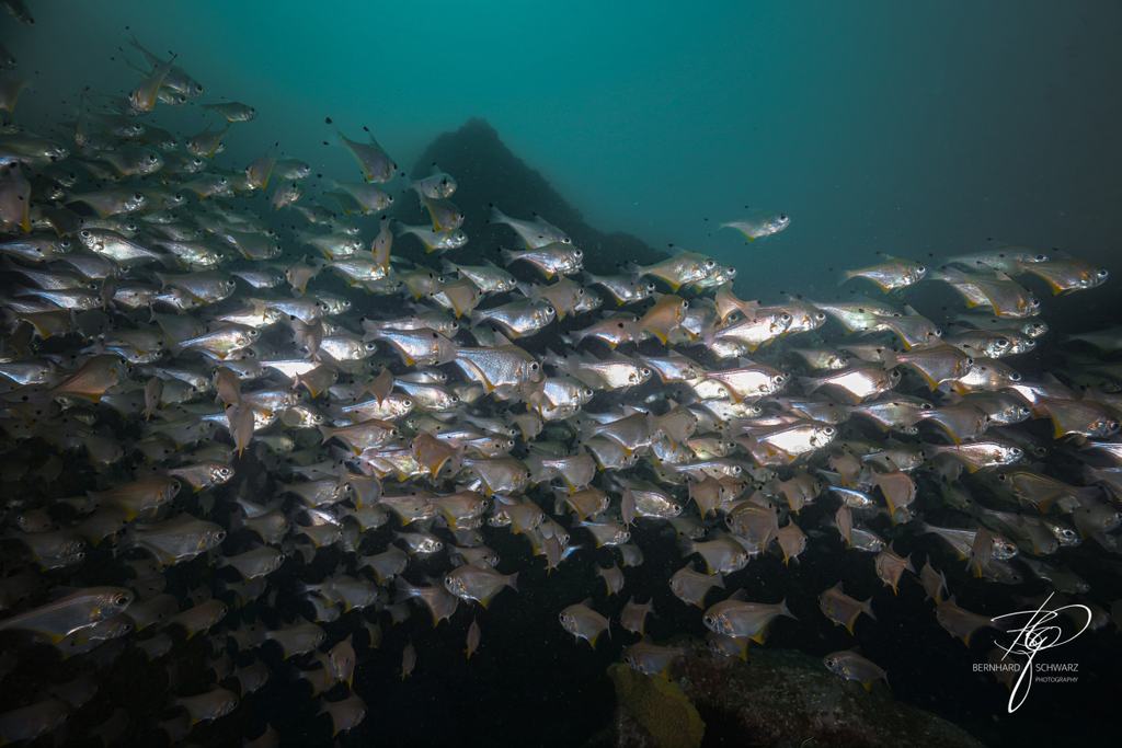 Fish Cave Rock